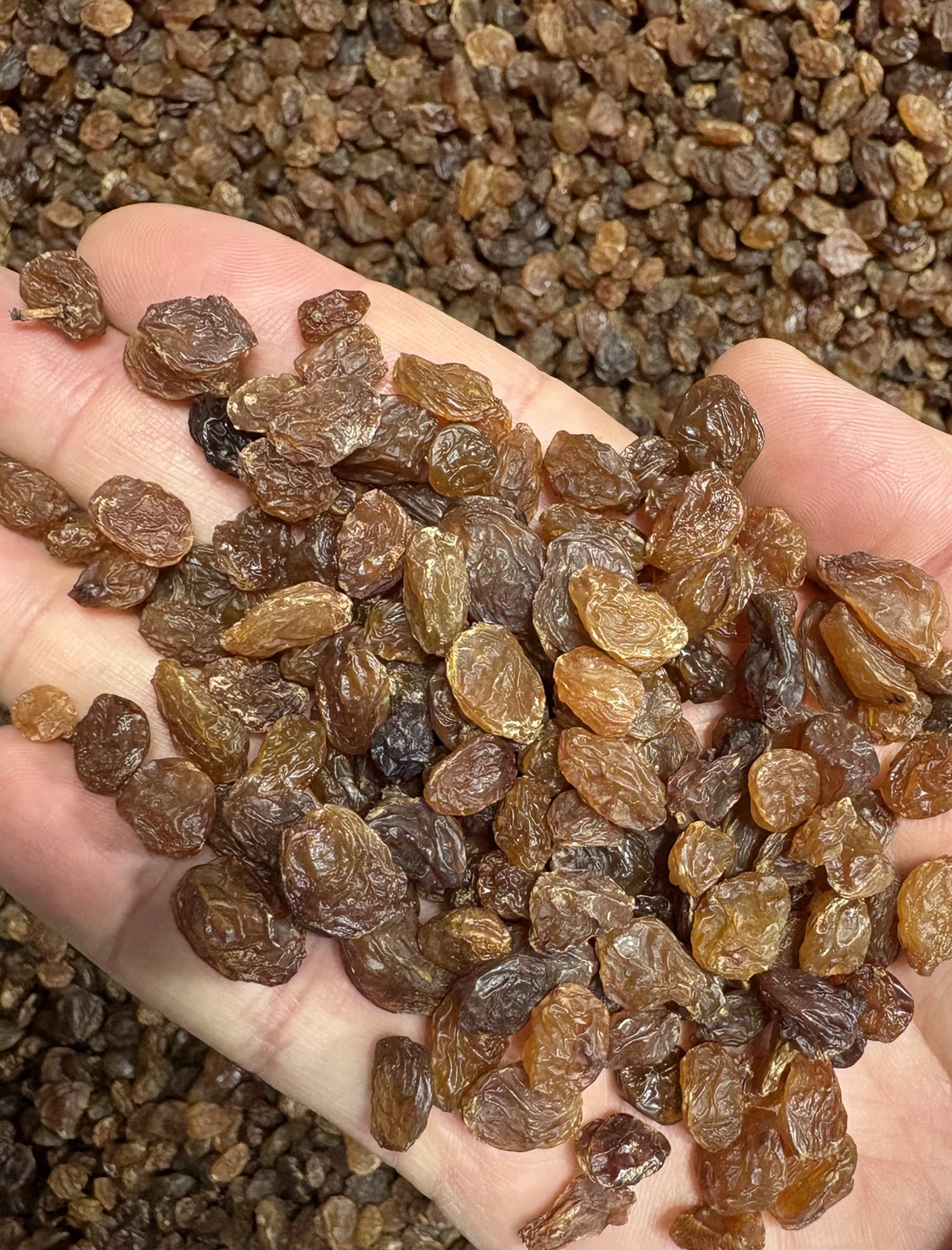 Sultana Raisins